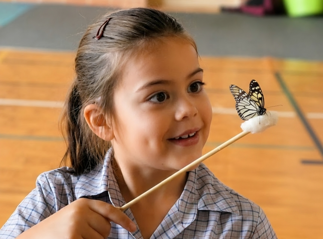 Student meeting a monarch at an educational incursion