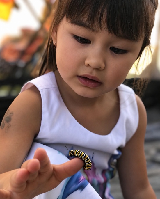 Girl with a monarch caterpillar on her finger